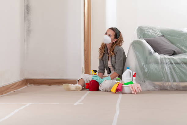 Reliable Mold Remediation contractor in Hampton, TN by WQB Mold Removal